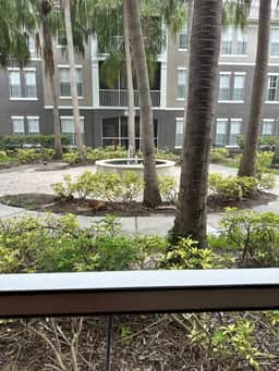 Crescent Palms