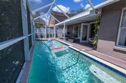 Poolside Palms 