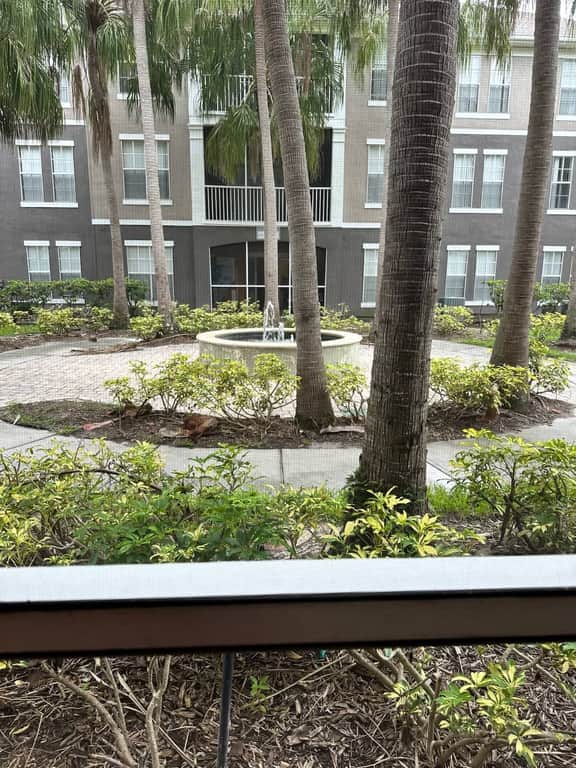 Crescent Palms